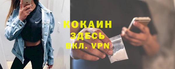 прущие грибы Алексин