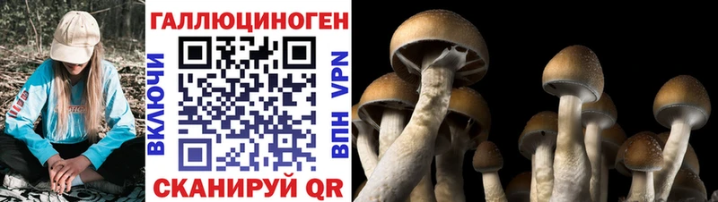 Галлюциногенные грибы GOLDEN TEACHER Богучар